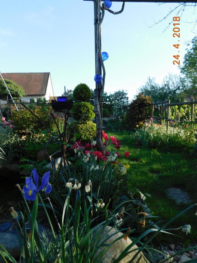 Chez Nous. B & B Bassy Zewnętrze zdjęcie